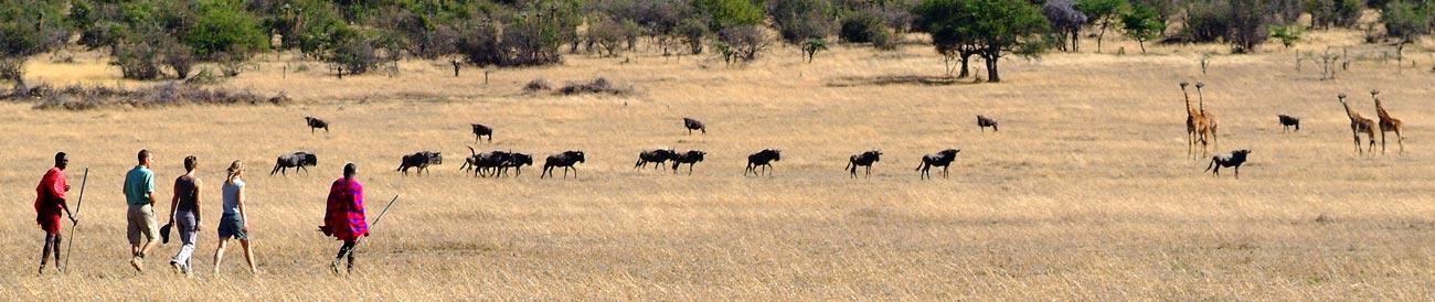 inside africa travel masai mara wildebeest migration