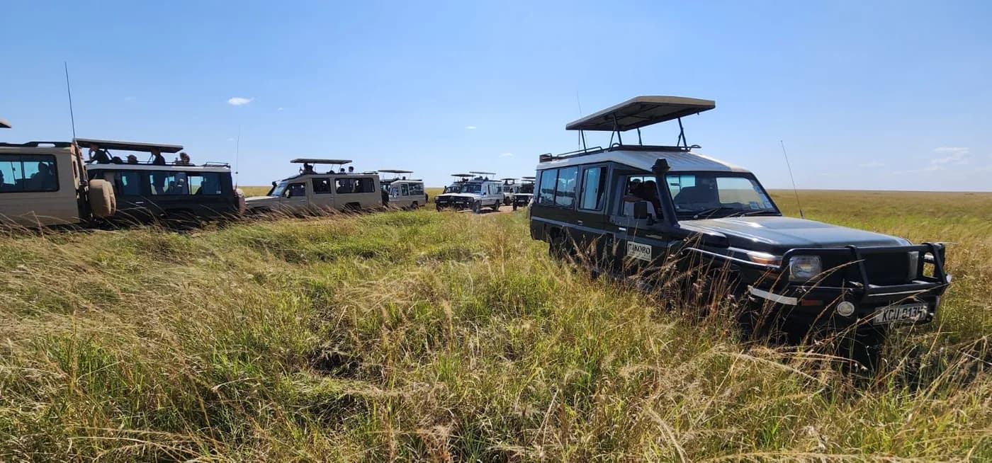 Safari vehicles parked together on open grassland