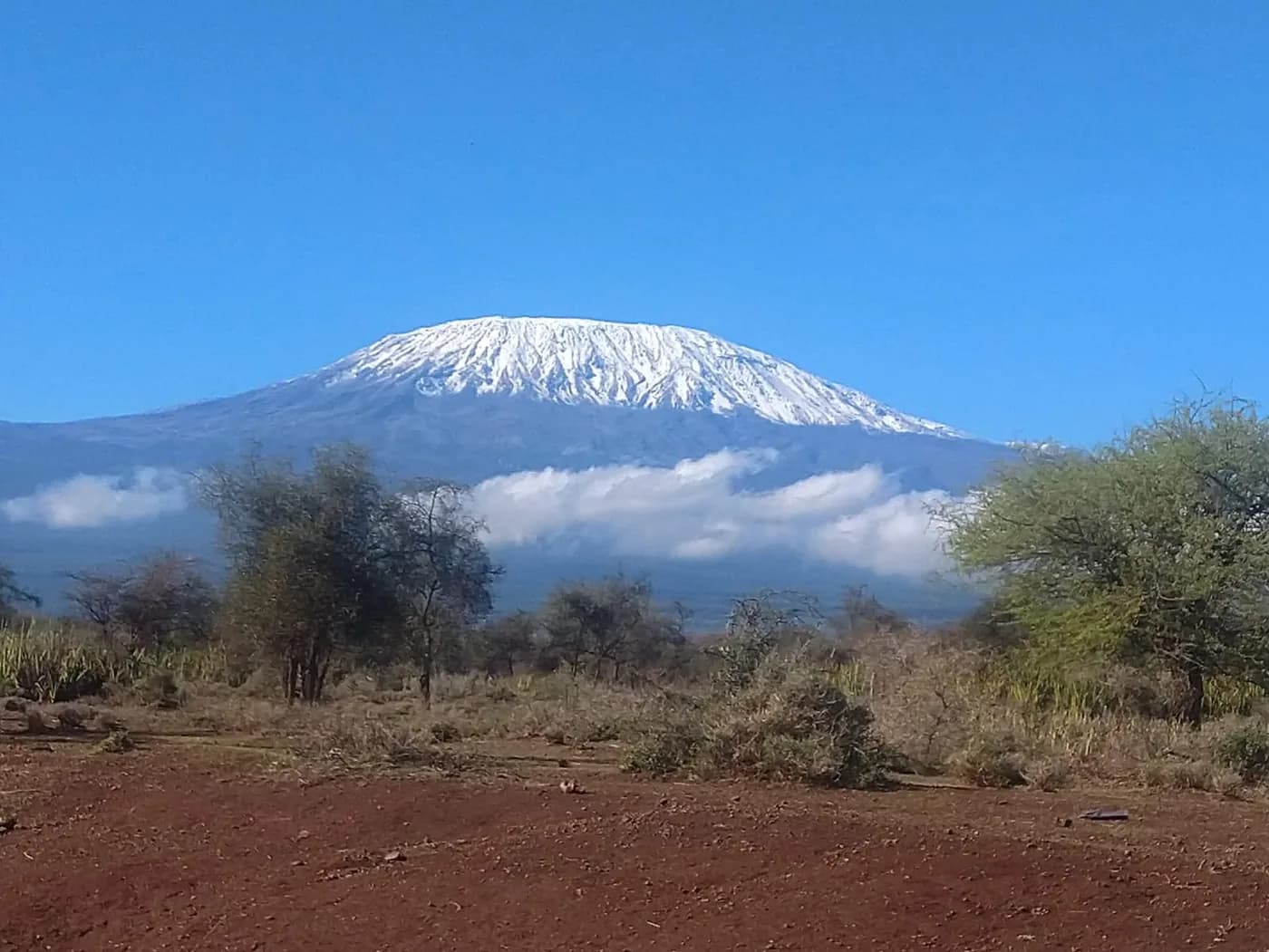 Snow-capped Mount Kilimanjaro above open bushland