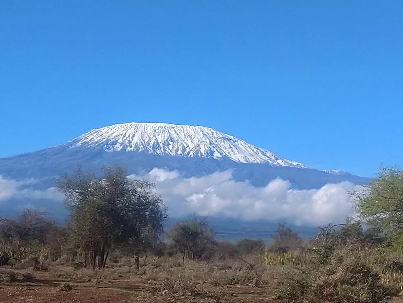 Snow-capped Mount Kilimanjaro above trees and cloud