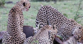 amboseli national park