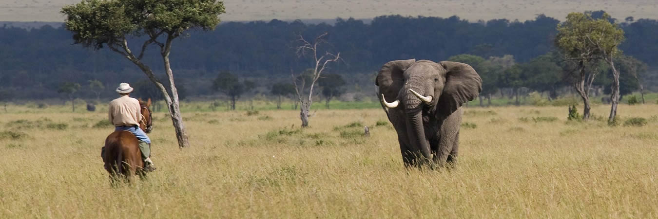 horse riding inside africa travel safaris