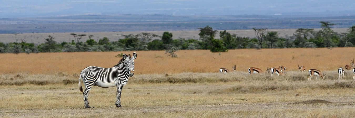 inside africa travel safaris